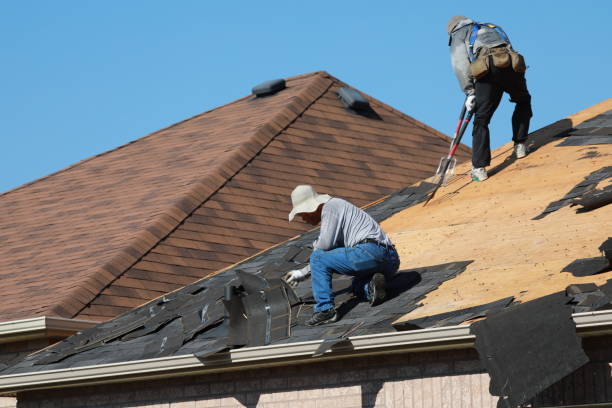 Best Roof Moss and Algae Removal  in Dunkirk, MD