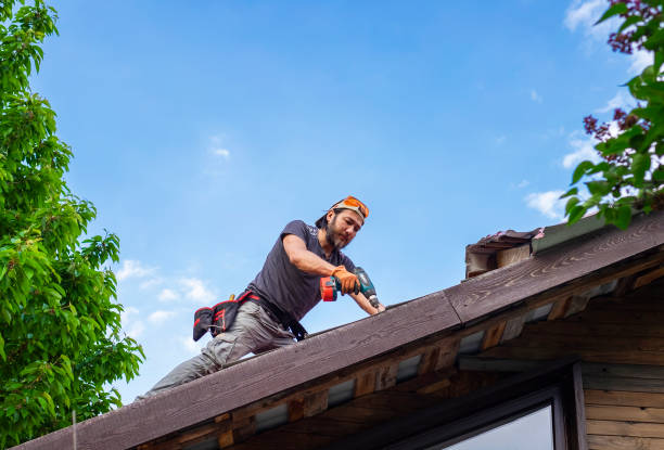 Best Emergency Roof Repair Services  in Dunkirk, MD